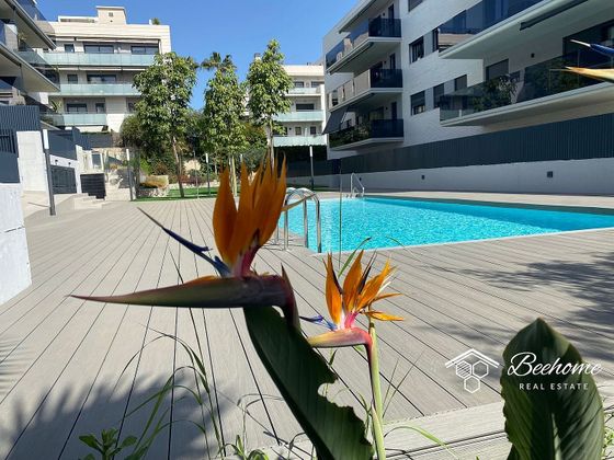 Foto 2 de Piso en venta en Vallpineda - Santa Bàrbara de 3 habitaciones con terraza y piscina