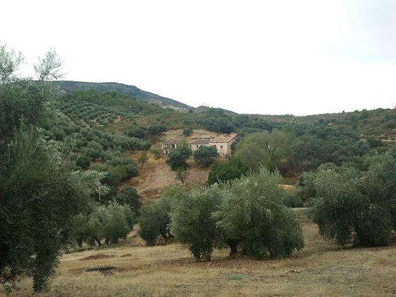 Foto 1 de Venta de terreno en calle De la Mancha o de la Loma de Segura de 1170000 m²