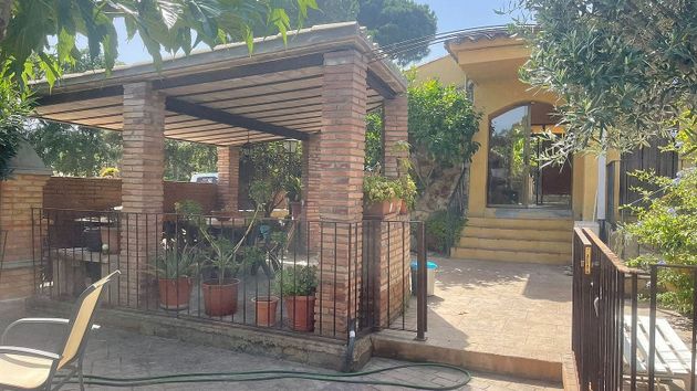 Foto 2 de Venta de chalet en Mas Pere-Río de Oro de 5 habitaciones con terraza y piscina