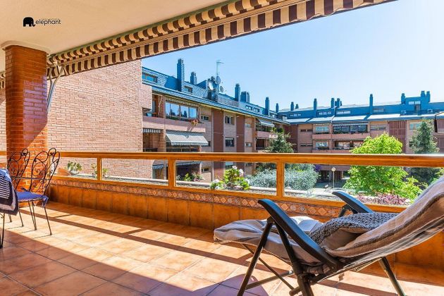 Foto 1 de Piso en venta en Zona Monte El Pilar de 6 habitaciones con terraza y piscina