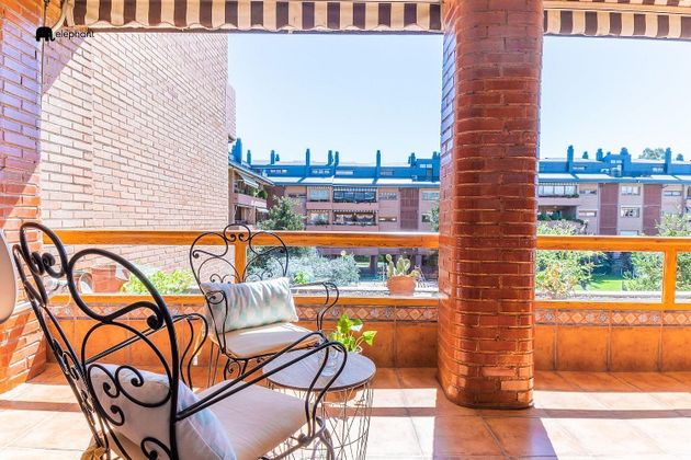 Foto 2 de Pis en venda a Zona Monte El Pilar de 6 habitacions amb terrassa i piscina