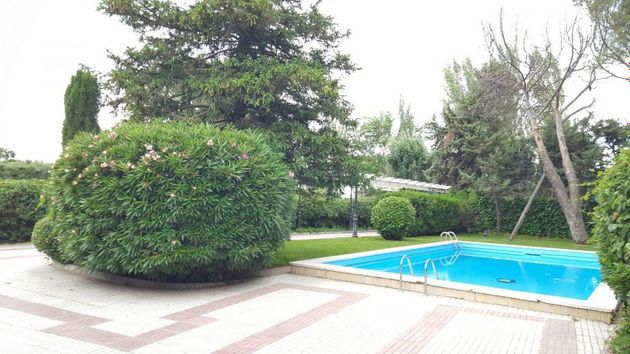 Foto 2 de Venta de chalet en Fuente el Saz de Jarama de 4 habitaciones con terraza y piscina