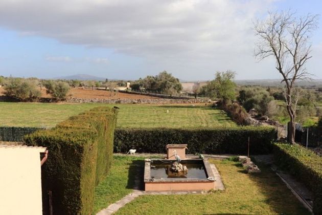 Foto 2 de Casa rural en venda a Santa Margalida de 6 habitacions amb terrassa