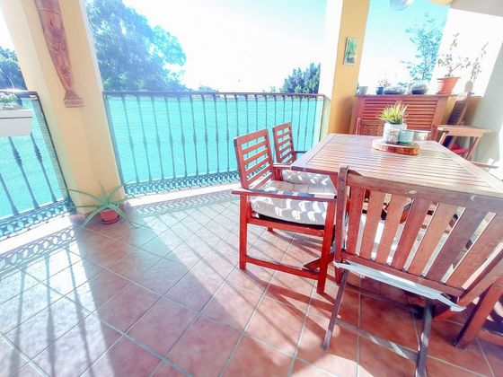 Foto 1 de Piso en venta en avenida Los Pacos de 2 habitaciones con terraza y piscina