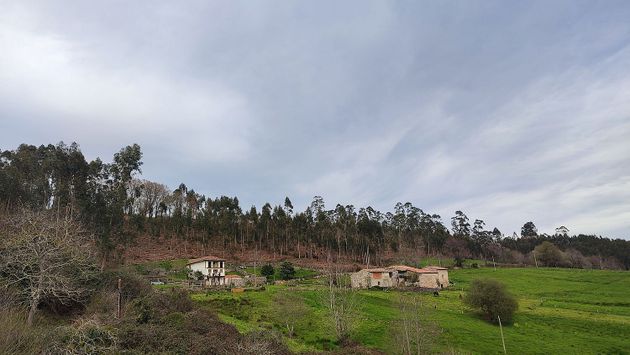 Foto 2 de Venta de casa en Vibaña-Ardisana-Caldueño de 3 habitaciones con jardín