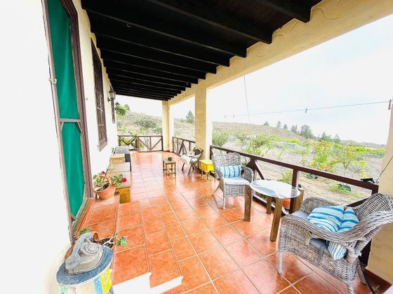 Foto 2 de Xalet en venda a La Quinta - Taucho de 2 habitacions amb terrassa i jardí