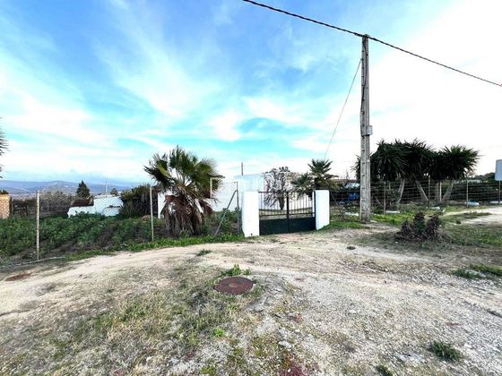 Foto 1 de Venta de terreno en Benalup-Casas Viejas de 3334 m²