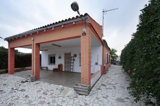 Foto 2 de Venta de casa rural en Monforte del Cid de 4 habitaciones con terraza y piscina