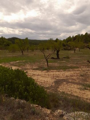Foto 1 de Venta de terreno en Cervià de les Garrigues de 60000 m²