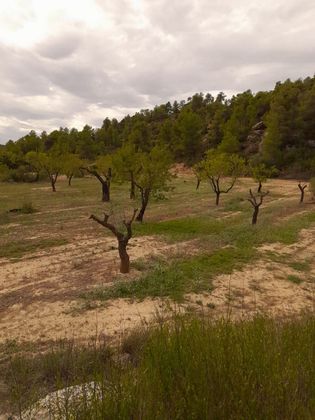 Foto 2 de Venta de terreno en Cervià de les Garrigues de 60000 m²