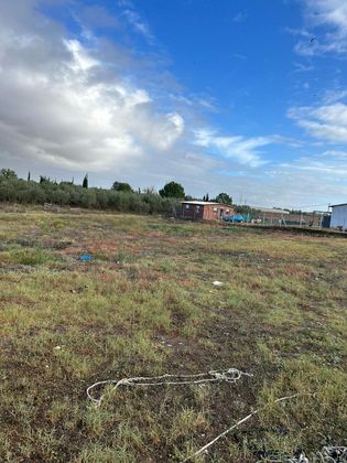 Foto 1 de Venta de terreno en Palacios y Villafranca (Los) de 1000 m²