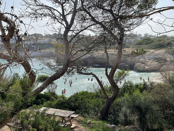 Foto 1 de Dúplex en lloguer a Cales de Mallorca de 2 habitacions amb terrassa i piscina