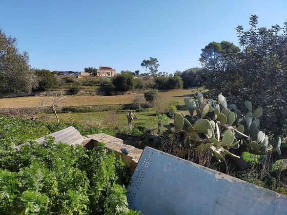 Foto 2 de Venta de terreno en Maria de la Salut de 15000 m²