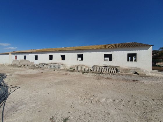Foto 2 de Alquiler de local en La Hoya-Almendricos-Purias de 500 m²