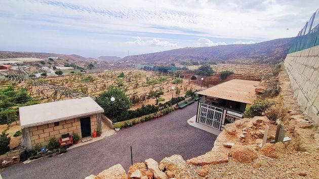 Foto 2 de Casa rural en venta en Arico de 2 habitaciones con jardín