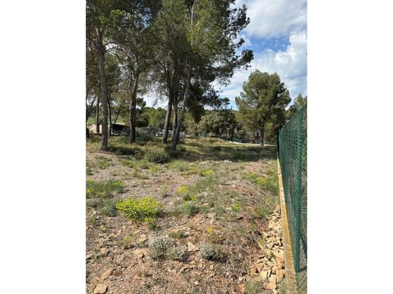 Foto 1 de Venta de terreno en Castellnou de Bages de 1100 m²