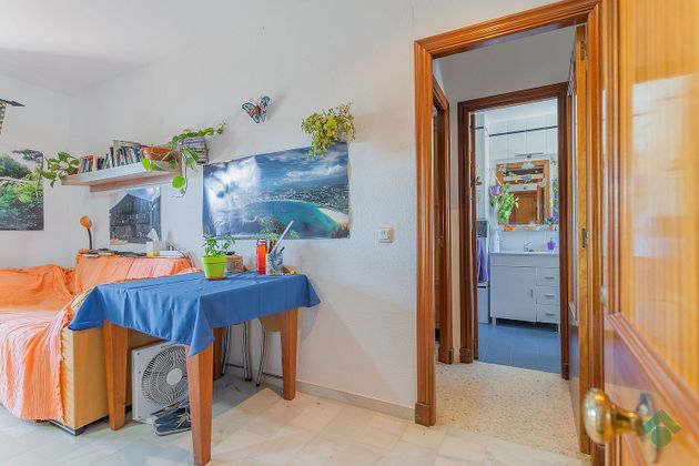 Foto 2 de Àtic en venda a Puerto Real de 1 habitació amb terrassa i ascensor