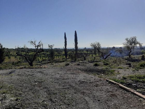 Foto 1 de Venta de terreno en Castellvell del Camp de 17800 m²