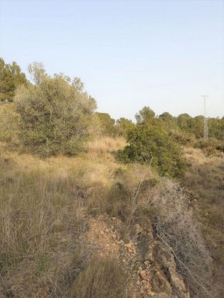 Foto 2 de Venta de terreno en Salomó de 12660 m²
