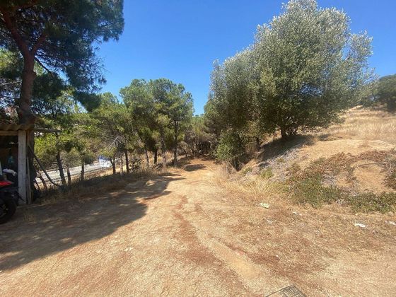 Foto 2 de Venta de terreno en Arenys de Mar de 10000 m²