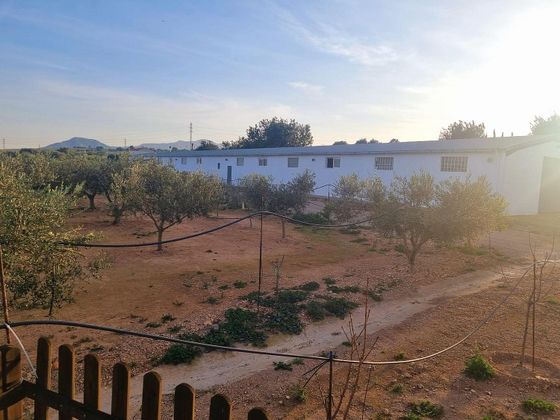 Foto 2 de Casa rural en venda a Amposta de 4 habitacions amb piscina i jardí