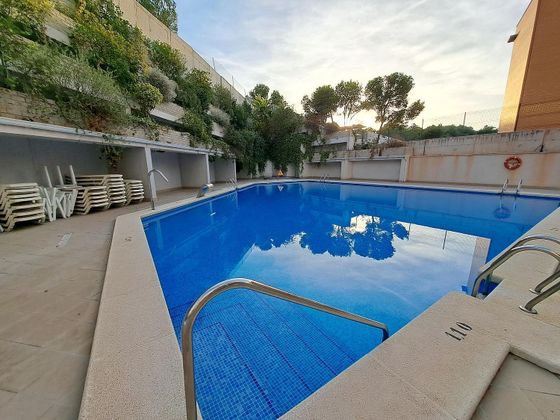Foto 2 de Pis en venda a Palmeral - Urbanova  - Tabarca de 1 habitació amb terrassa i piscina