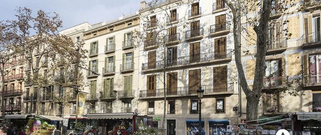 Foto 1 de Promoción de obra nueva en El Gòtic en Ciutat Vella en Barcelona