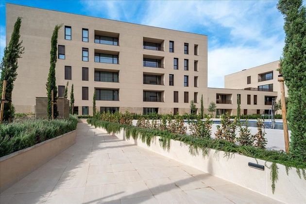 Foto 2 de Piso nuevo en alquiler en Llevant - La Soledat Sud de 3 habitaciones con piscina y jardín