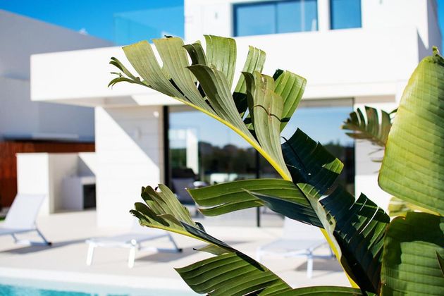 Foto 1 de Casa nova en venda a calle Chumbera de 4 habitacions amb piscina i jardí