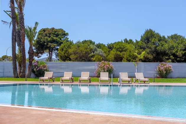 Foto 2 de Pis nou en venda a calle Tamarell de 3 habitacions amb piscina i jardí