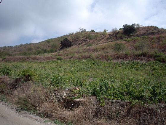 Foto 2 de Venta de terreno en carretera Ítraboalmuñécar de 20000 m²