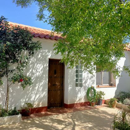 Foto 2 de Casa rural en venda a calle Miguel García de 5 habitacions amb terrassa i piscina