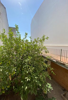 Foto 1 de Casa en venda a calle La Parra de 5 habitacions amb terrassa i jardí