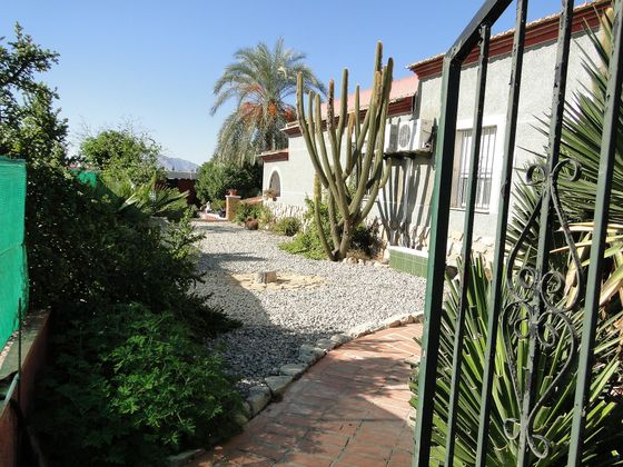 Foto 2 de Casa rural en venda a carretera Partida de Las Cebadas de 3 habitacions amb terrassa i piscina