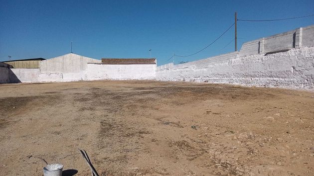 Foto 2 de Alquiler de terreno en carretera Munera de 3500 m²