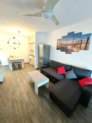 Foto 2 de Alquiler de apartamento en calle Palmeral de 1 habitación y 65 m²