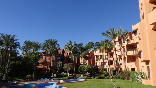 Foto 1 de Alquiler de apartamento en urbanización Oasis de Marbella de 2 habitaciones con terraza y piscina