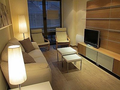 Foto 1 de Apartamento en alquiler en calle Zuñiga de 1 habitación con muebles y calefacción